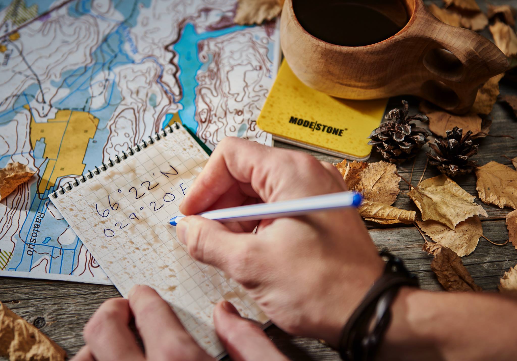 Modestone udensizturigie blocini lynxgear