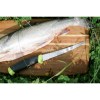 Companion-Fishing-Fillet-155-S-Lime-Green_pe01_lynxgear