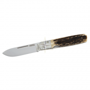 gp_stag_2000px_compressed_lynxgear1lv