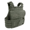was-quad-release-plate-carrier-ranger-green_807039_119_3_LYNXGEAR.lv